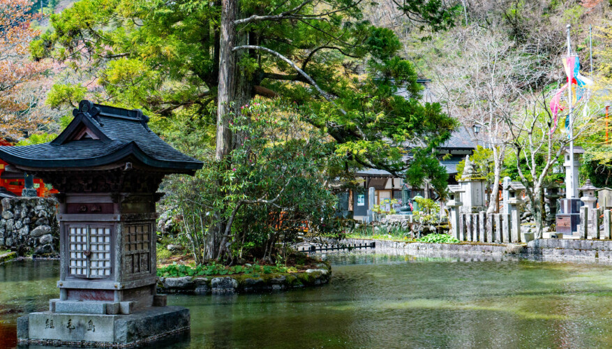 龍泉寺 境内 龍泉寺 境内